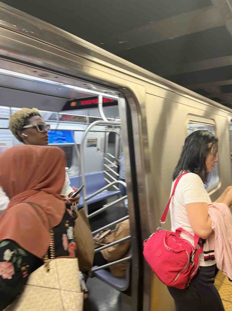 This is what a train looks like in the subway system in New York City. It will go fast, hop on!